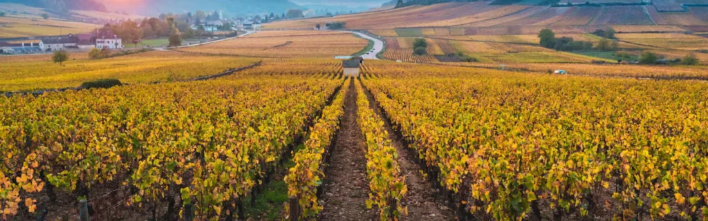 agence en automatisation de Bourgogne Franche-Comté